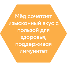 Соты 1