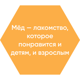 Соты 6